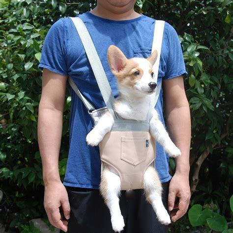 dog carrying harness for dogs.